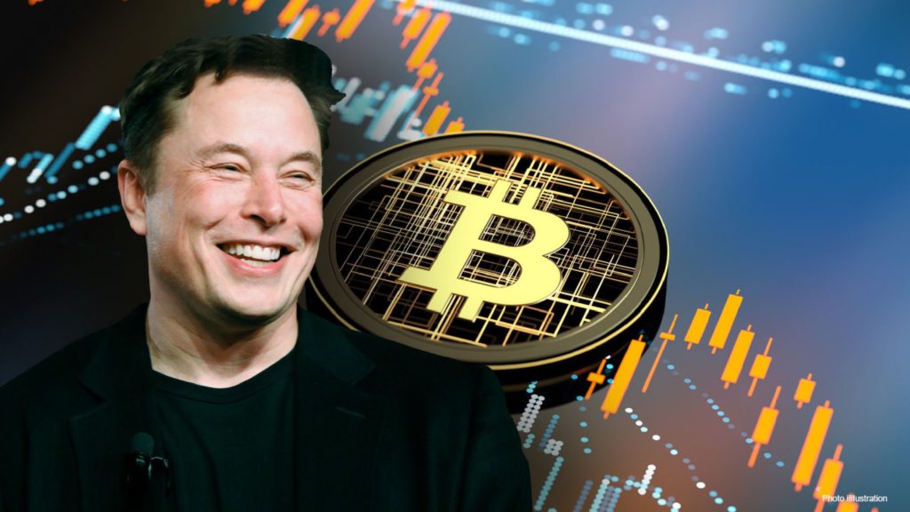 Dichiarazione di Elon Musk sulle criptovalute