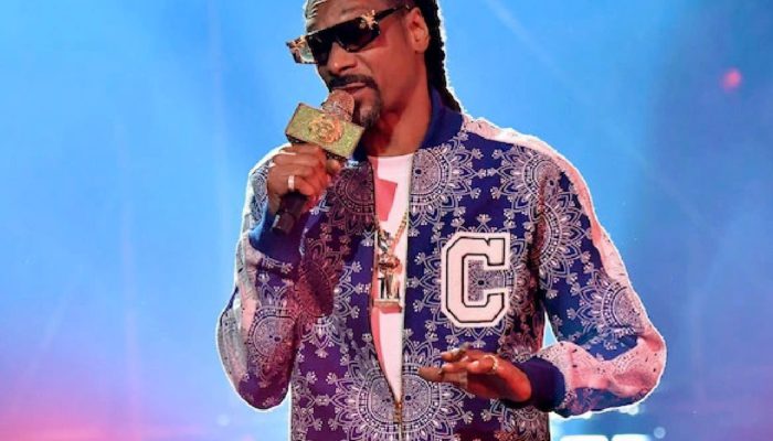 snoop dogg reciterà in una sitcom nft