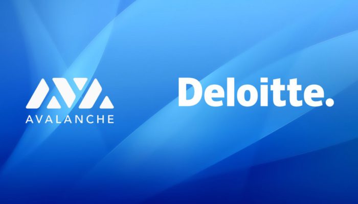 Partnership tra Ava Labs e Deloitte