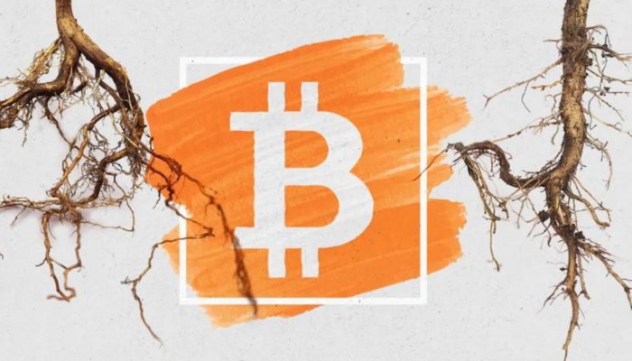 aggiornamento Taproot per Bitcoin