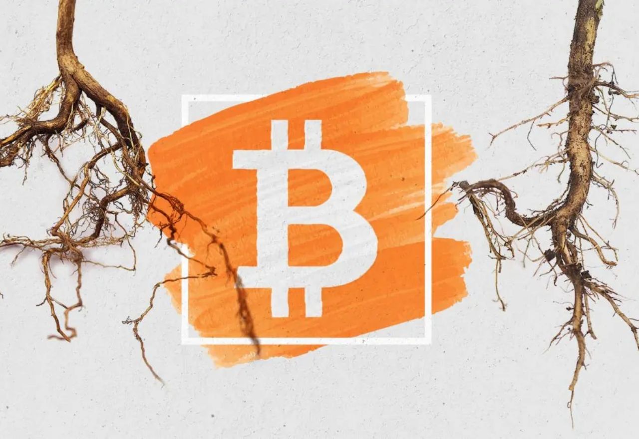 Il più grande aggiornamento per Bitcoin: Taproot